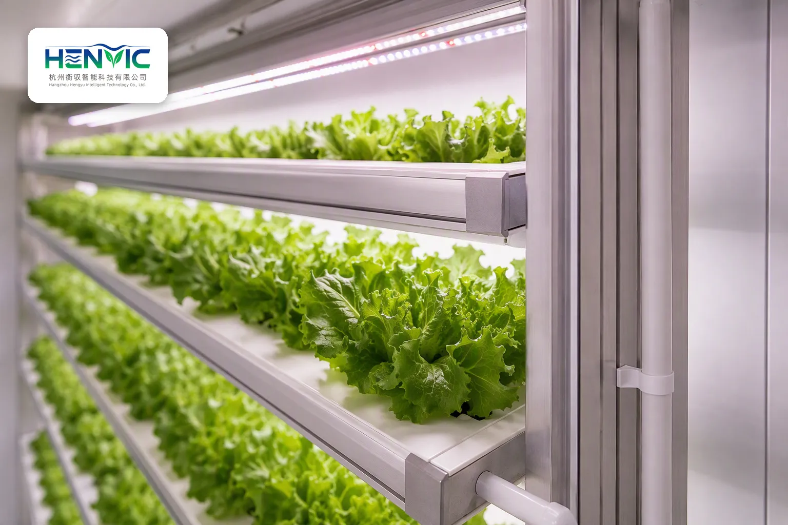 Application of the Growth Cultivation Chamber Technology