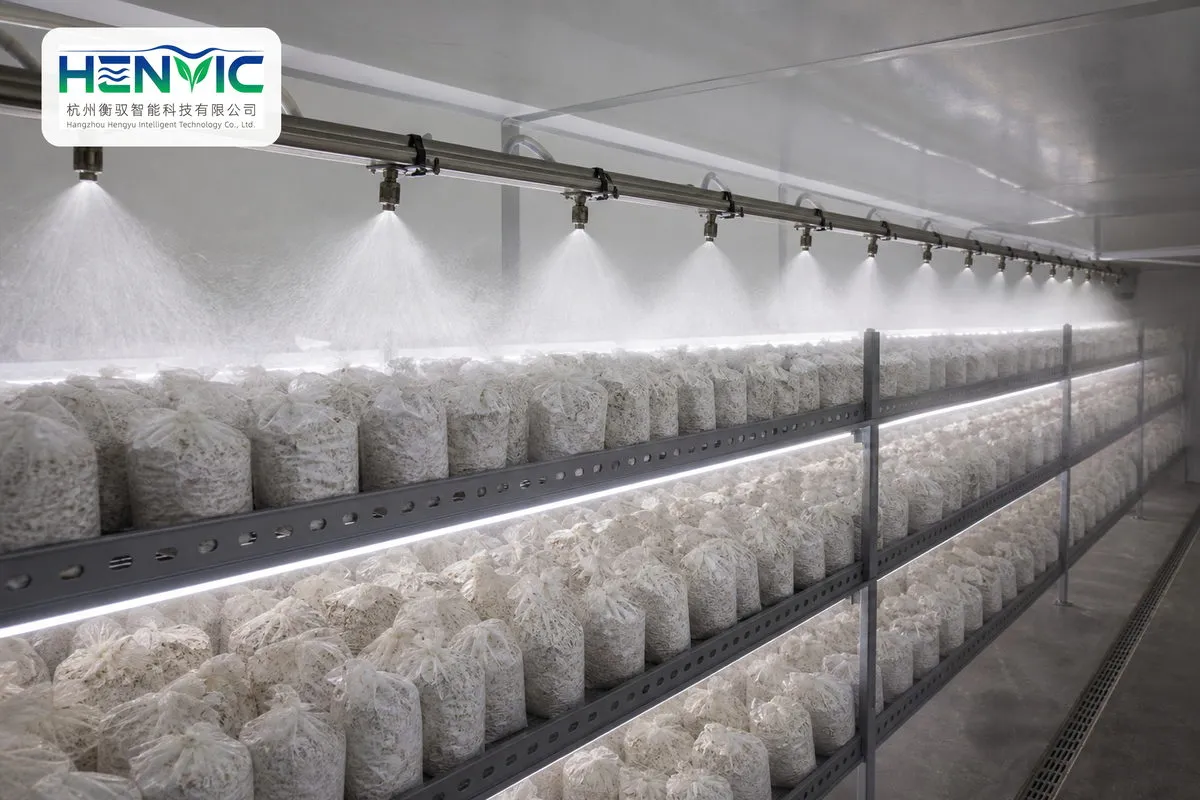 Enoki Mushroom Cultivation Container   Compact